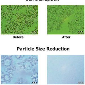 Cell Disruption - Particle Size Reduction