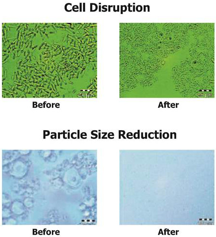 Cell Disruption - Particle Size Reduction