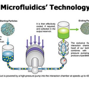 gmsh design microfluidics