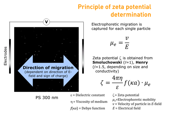Principle of zeta potential determination