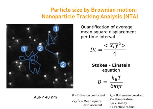 Particle size by Brownian motion: Nanoparticle Tracking Analysis (NTA)
