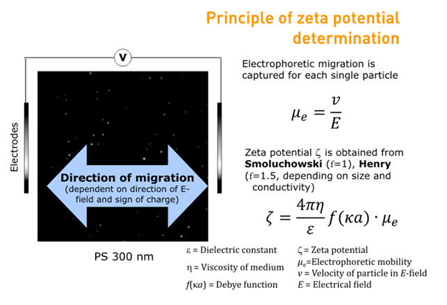 Zeta Potential Theory