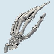 bone extraction, CT data, 3D Bioprinting