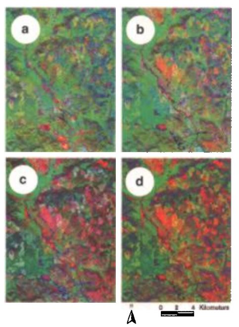 Forest, Hyperspectral, Forestry Management