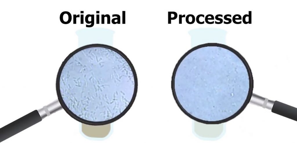 Cell Disrupted Sample | Microfluidizer