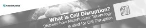 What is Cell Disruption