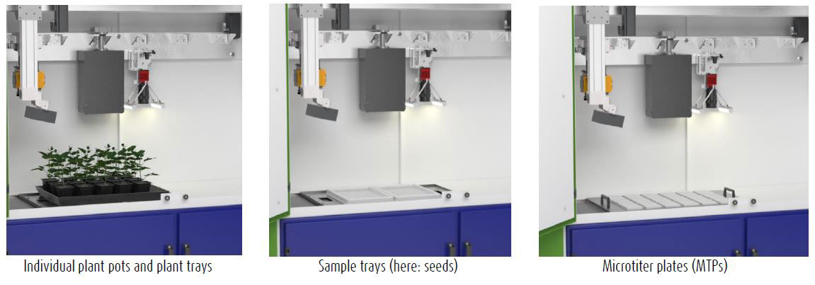 Analysing Seeds - LemnaTec