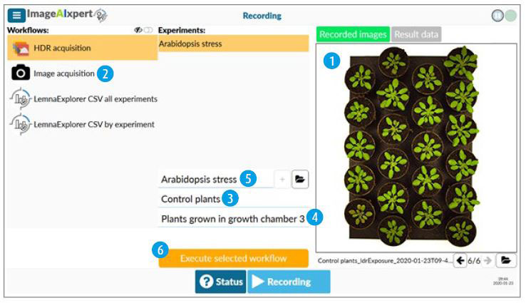 Analysing Seeds - LemnaTec