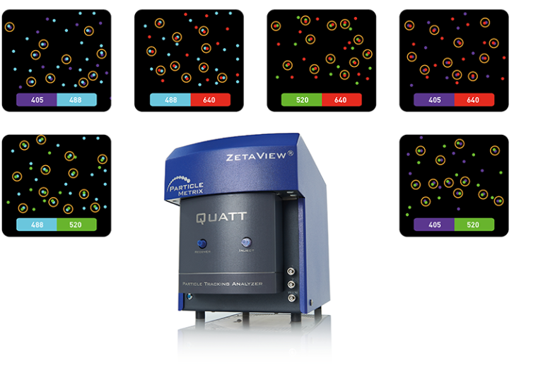 particle-metrix-zetaview_quatt-colocalization