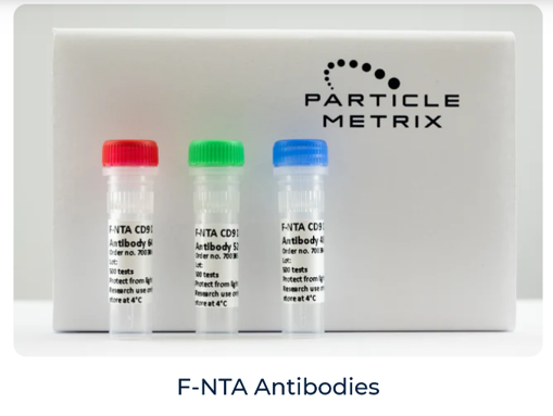 fnta-anitbodies